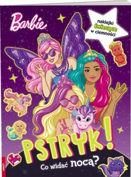 Ameet Ameet: BARBIE Dreamtopia. Pstryk! Co widać nocą?